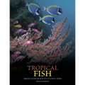 Tropical Fish: From Stingrays to Clown Fish