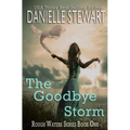 The Goodbye Storm