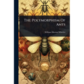 The Polymorphism Of Ants