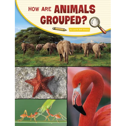 How Are Animals Grouped?