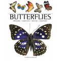 Butterflies: Beautiful Flying Insects