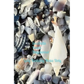 Seashells: SeaShells Blank Day Planner