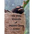 The Willy Wagtails of Melissa Court Cowes
