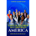 Chocolate Drop in Corporate America: From the Pit to the Palace
