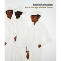 Soul of a Nation: Art in the Age of Black Power