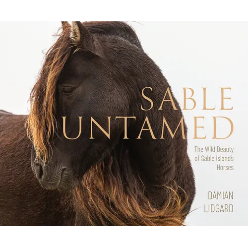 Sable Untamed: The Wild Beauty of Sable Island's Horses