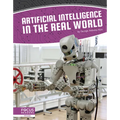 Artificial Intelligence in the Real World