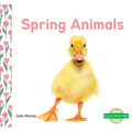 Spring Animals