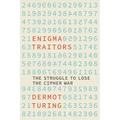 The Enigma Traitors: The Struggle to Lose the Cipher War