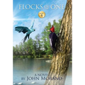 Flocks of One