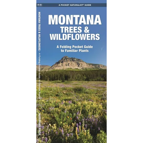Montana Trees & Wildflowers: A Folding Pocket Guide to Familiar Plants