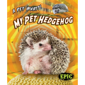 My Pet Hedgehog