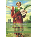triunfa y progresa con san pancracio: oraciones, baños, riegos, santa novena y santo rosario
