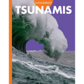 Curious about Tsunamis