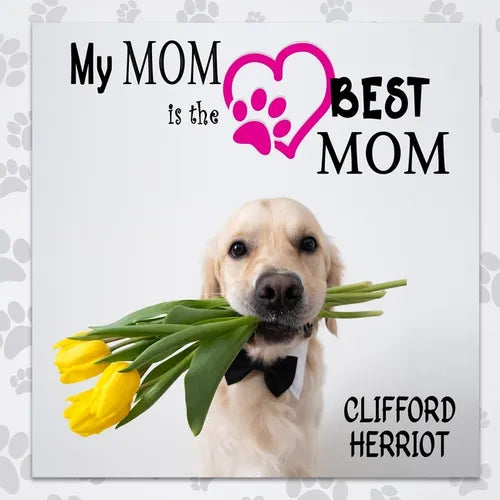 My Mom is the Best Mom: A Picture Poem Gift to Mothers from their Pups