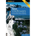 Tahoe Wildflowers