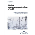 Öffentliche Energieversorgungsunternehmen im Wandel