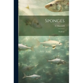 Sponges; Poriferae
