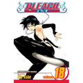 Bleach, Vol. 18