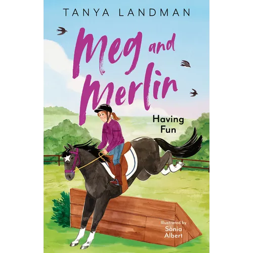 Meg and Merlin: Having Fun: Meg and Merlin Book 4 Volume 4