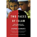 The Two Faces of Islam: Saudi Fundamentalism and Its Role in Terrorism