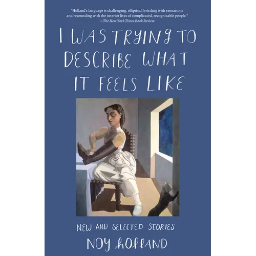 I Was Trying to Describe What it Feels Like: New and Selected Stories