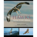 Hawks from Every Angle: How to Identify Raptors in Flight