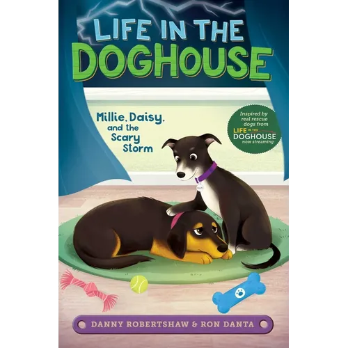 Millie, Daisy, and the Scary Storm