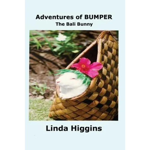 Adventures of Bumper