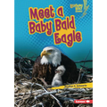 Meet a Baby Bald Eagle