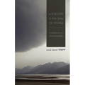 A Shelter in the Time of Storm: Meditations on God and Trouble