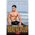 Cape Cod Seal Rescue