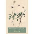 Wordsworth After War