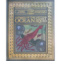 Animals of the Ocean, in Particular the Giant Squid