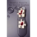 Deadly Puzzle