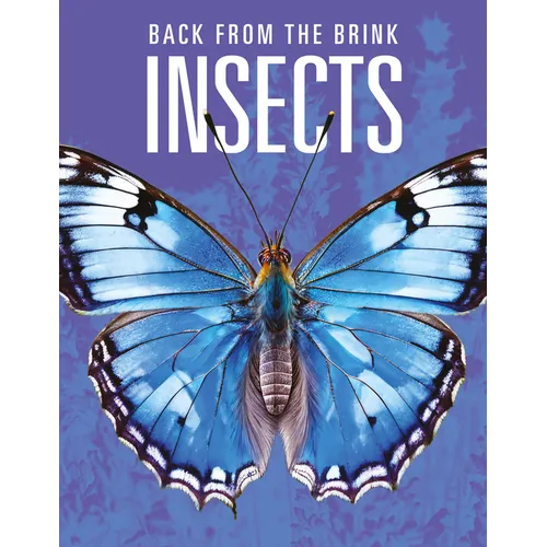 Insects: Back from the Brink