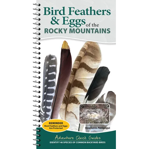 Bird Feathers & Eggs of the Rocky Mountains: Identify 40 Species of Common Backyard Birds