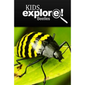 Beetles - Kids Explore: Animal books nonfiction - books ages 5-6