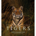 Remembering Tigers