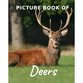 Picture Book of Deers: Fabulous Picture Book for Alzheimer's Patients and Seniors with Dementia.