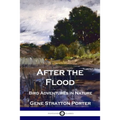 After the Flood: Bird Adventures in Nature
