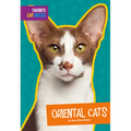 Oriental Cats