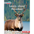 Learn about Reindeer