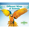 Different Wings of Animals