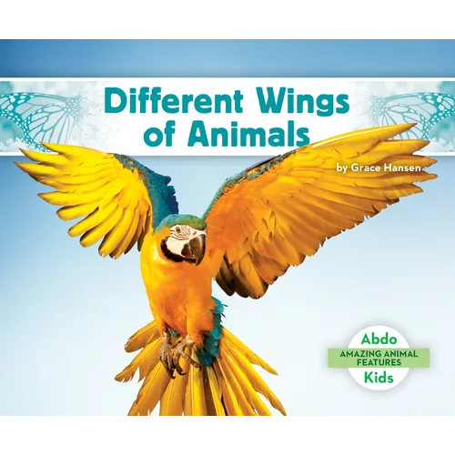 Different Wings of Animals