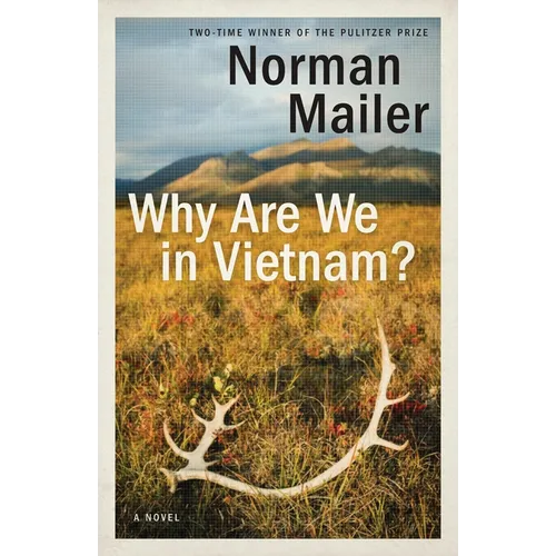 Why Are We in Vietnam?