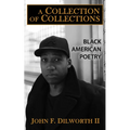 A Collection of Collections: Black American Poetry