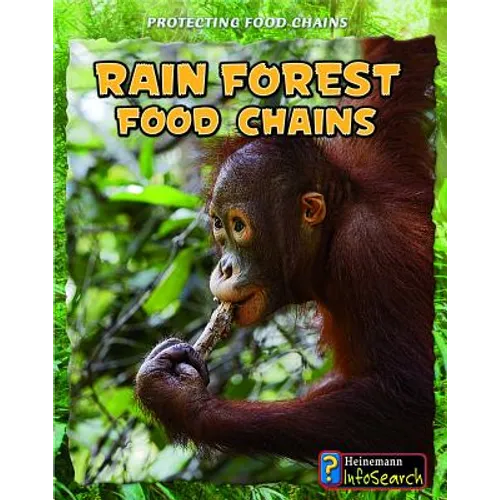 Rain Forest Food Chains