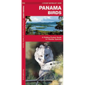 Panama Birds: A Folding Pocket Guide to Familiar Species
