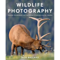 Wildlife Photography: Proven Techniques for Capturing Stunning Digital Images